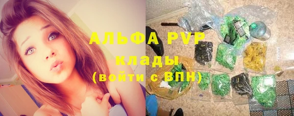соль ск Алзамай